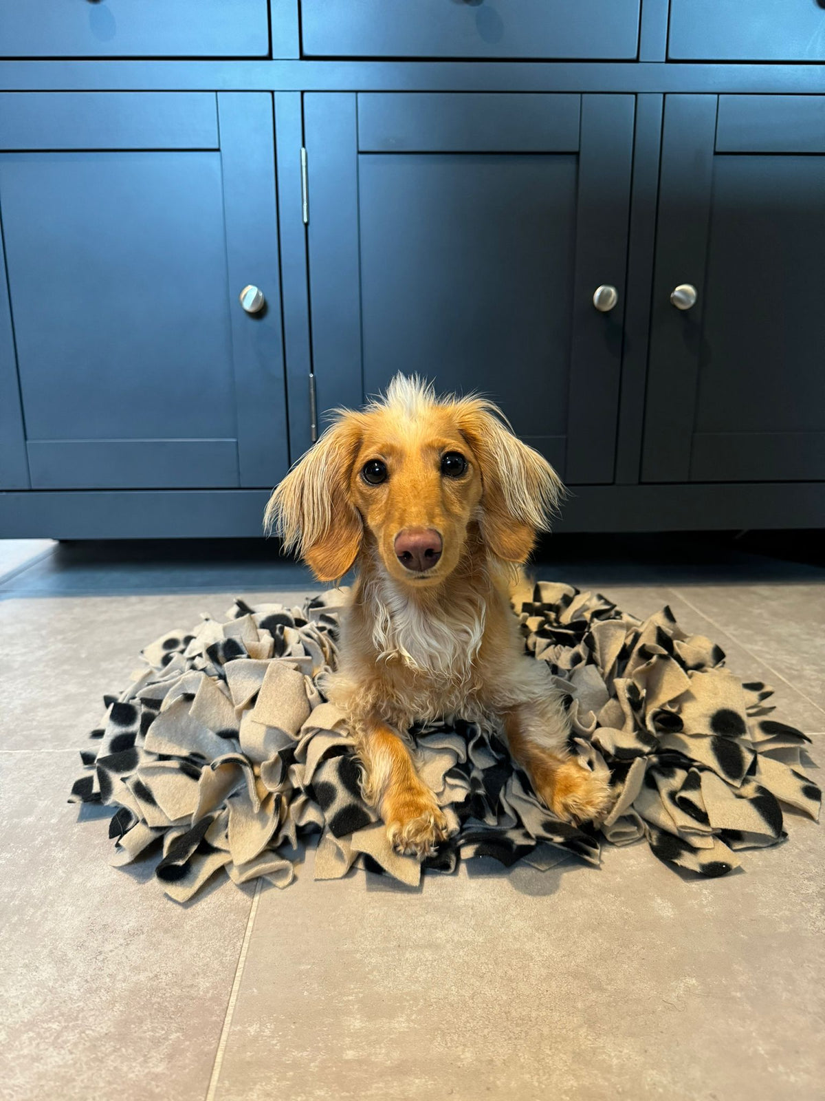 Snuffle Mats