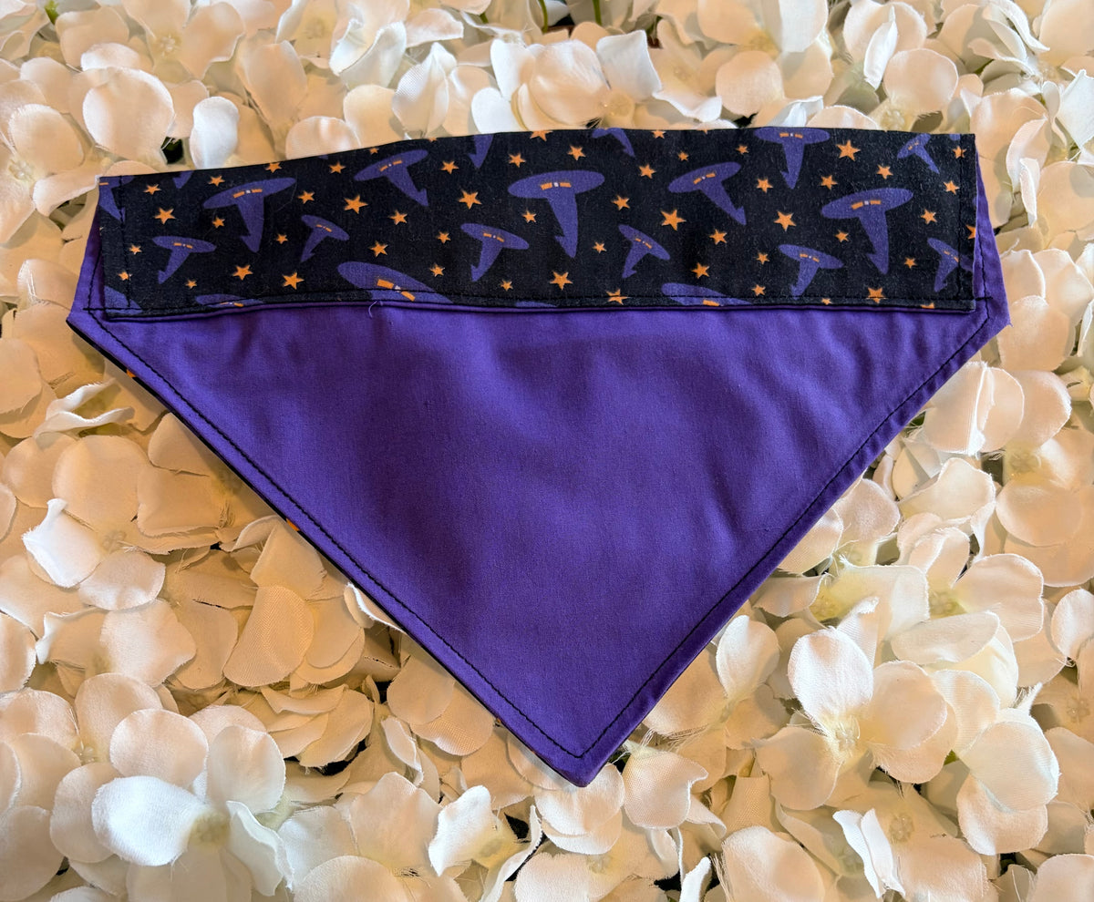 Purple Witch Hats Halloween Bandana - Medium