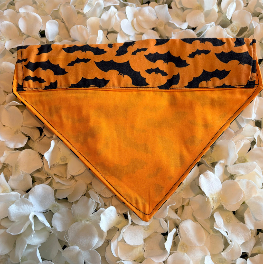 Orange Bats Halloween Bandana - Medium