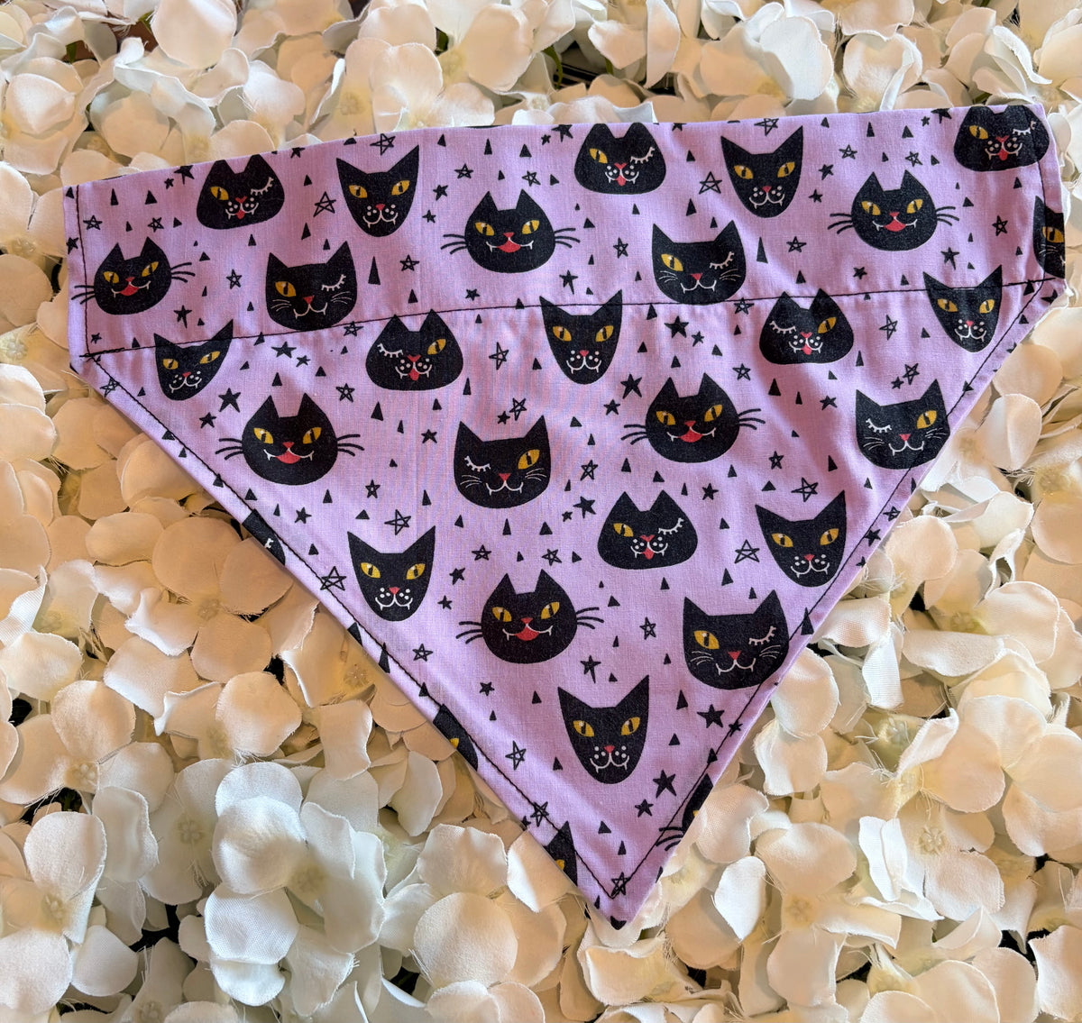 Purple Cat Halloween Bandana - Large