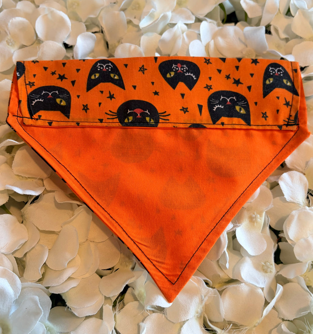 Orange Cat Halloween Bandana - Small