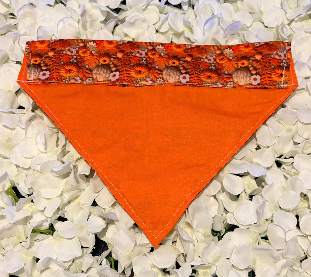 3D Pumpkin Bandana - Large