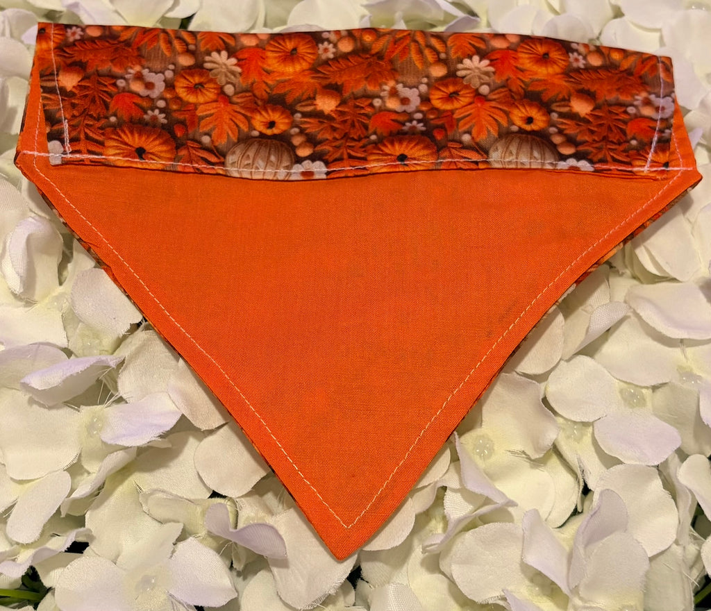 3D Pumpkin Bandana - Small
