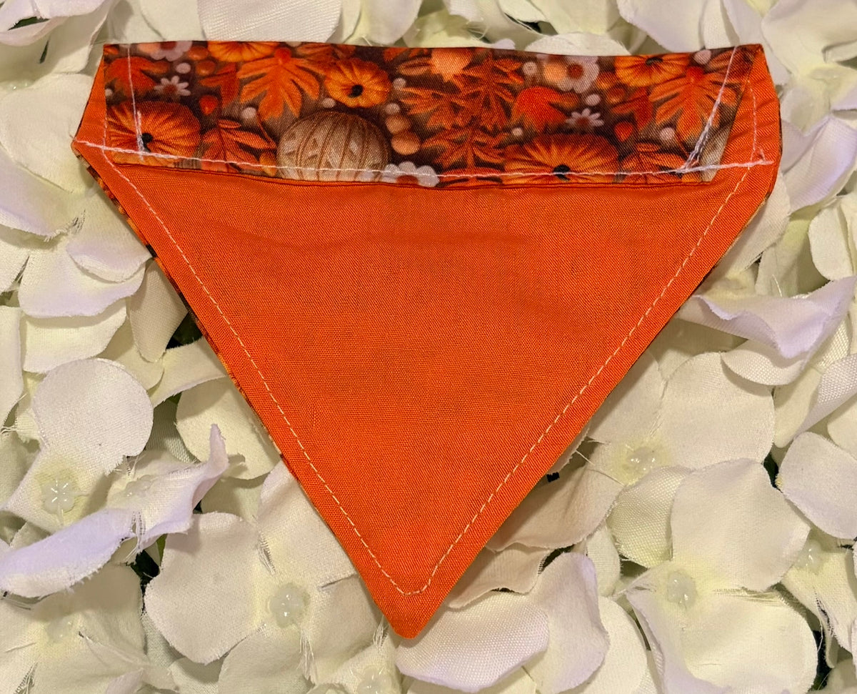 3D Pumpkin Bandana - Extra-Small