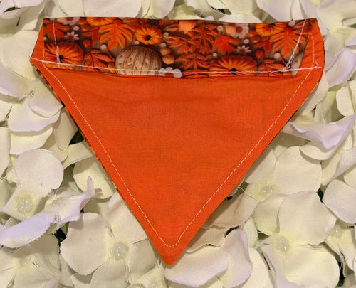 3D Pumpkin Bandana - Extra-Small