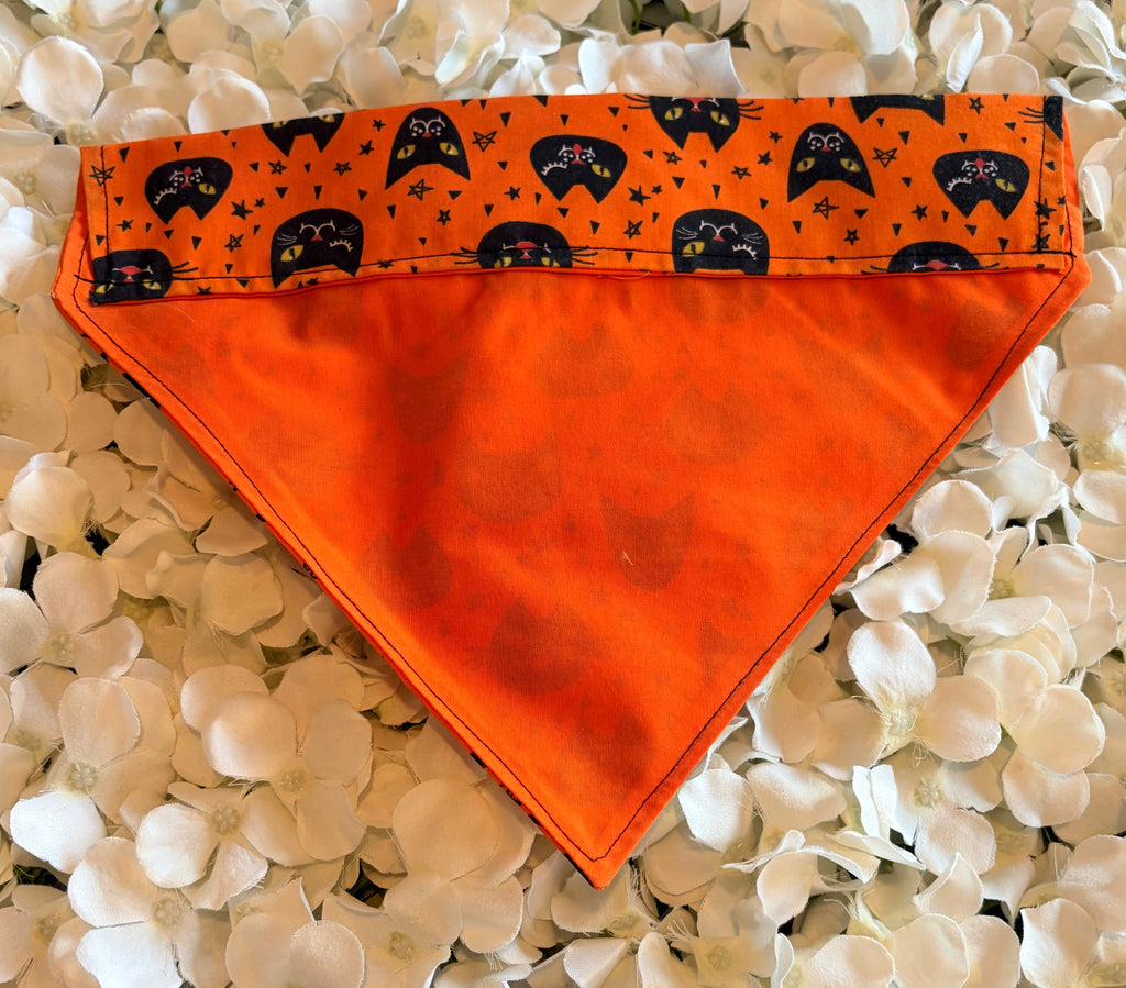 Orange Cat Halloween Bandana - Large