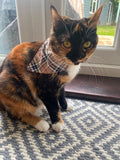 Burbury Pattern Bandana - Extra-Small