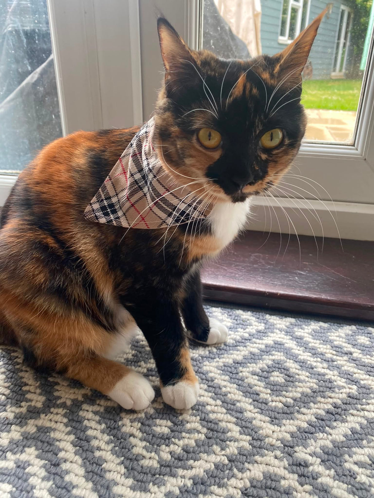 Burbury Pattern Bandana - Extra-Small