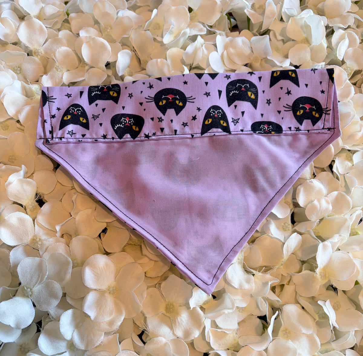 Purple Cat Halloween Bandana - Medium