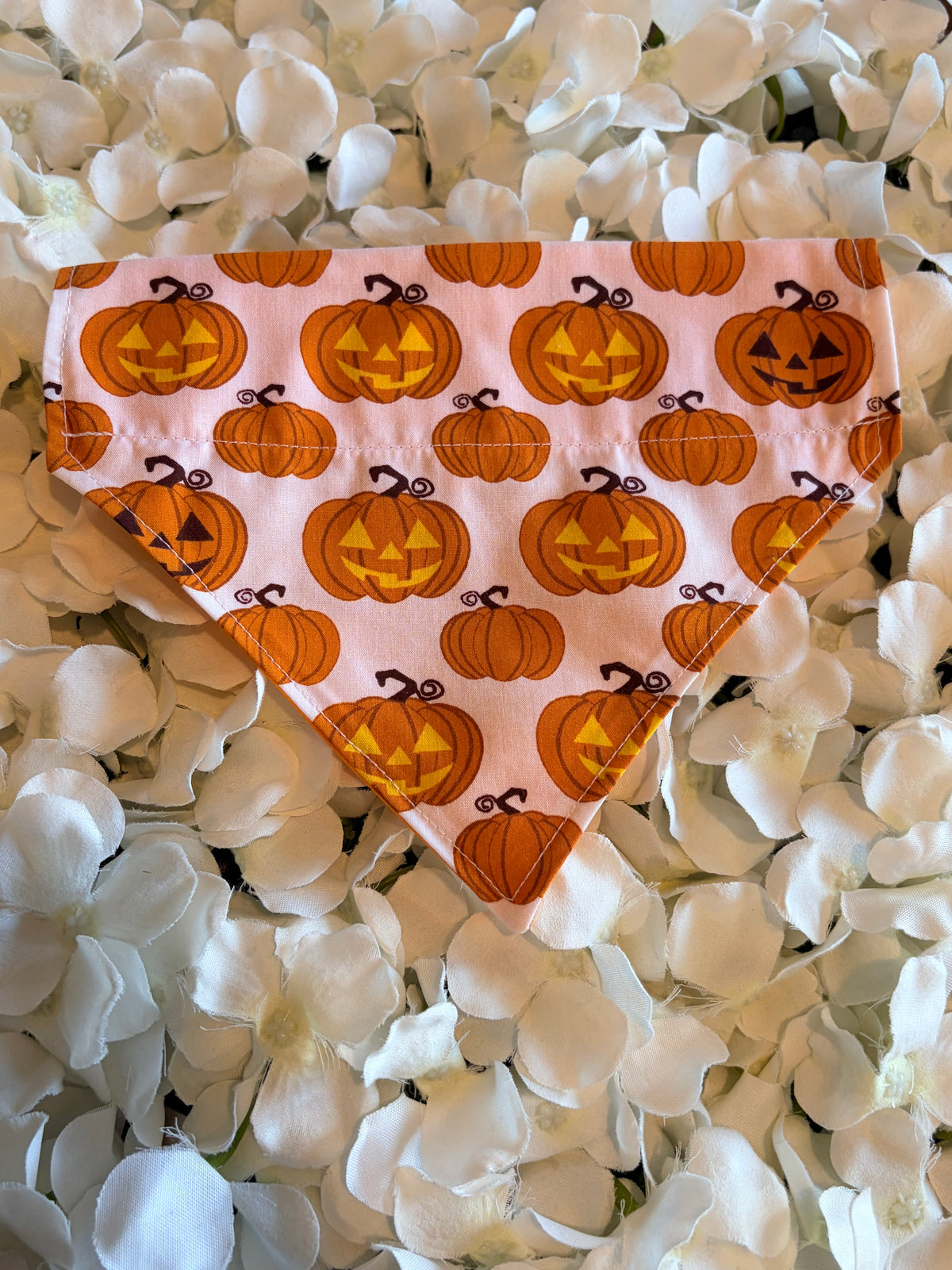Jack-o-Lantern Pumpkin Halloween Bandana - Small