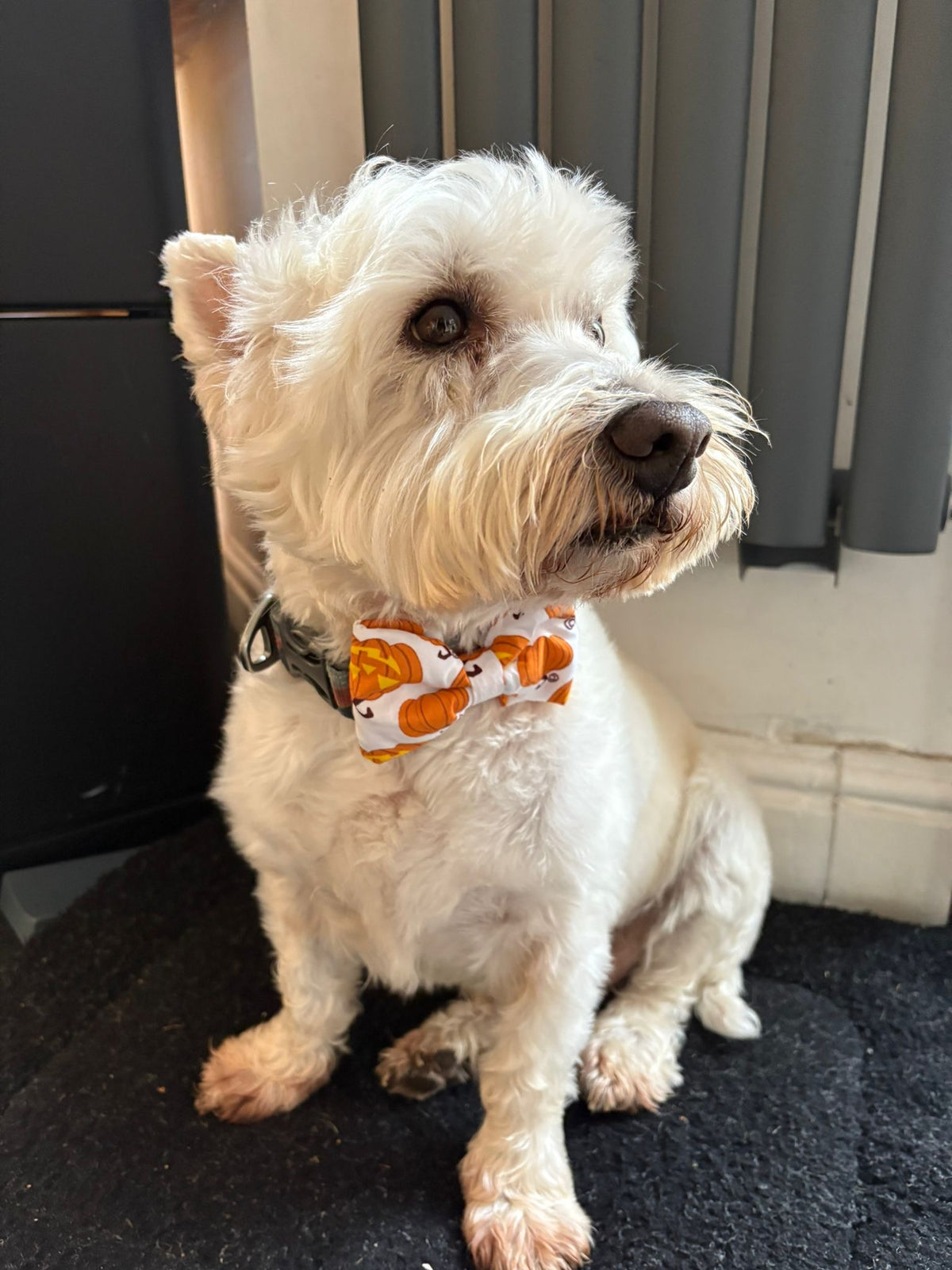 Jack-O-Lantern Pumpkin Bow - Medium