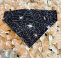 Cobweb Spider Halloween Bandana - Medium