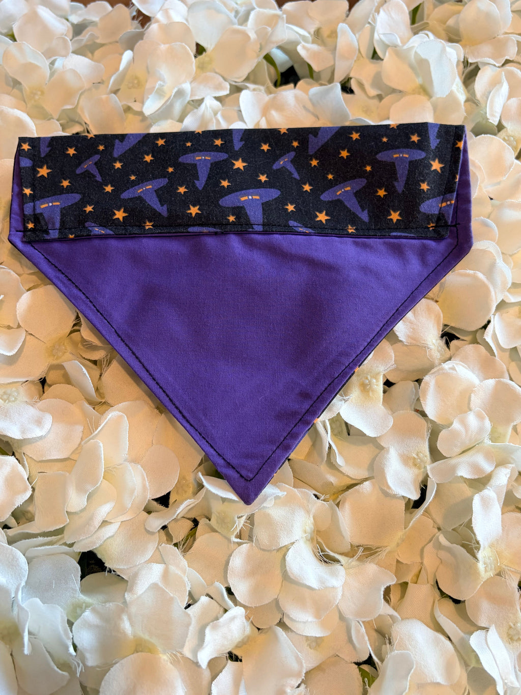 Purple Witch Hats Halloween Bandana - Small