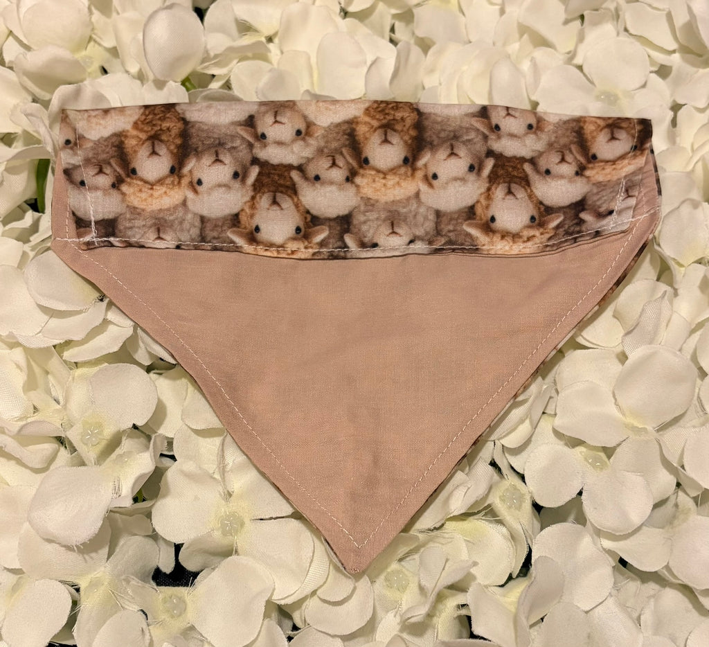 Natural Sheep Bandana - Small
