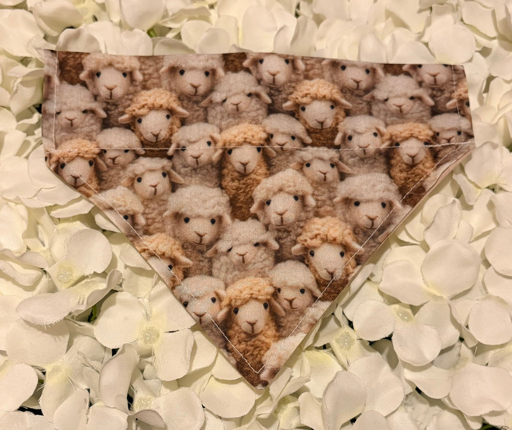 Natural Sheep Bandana - Small