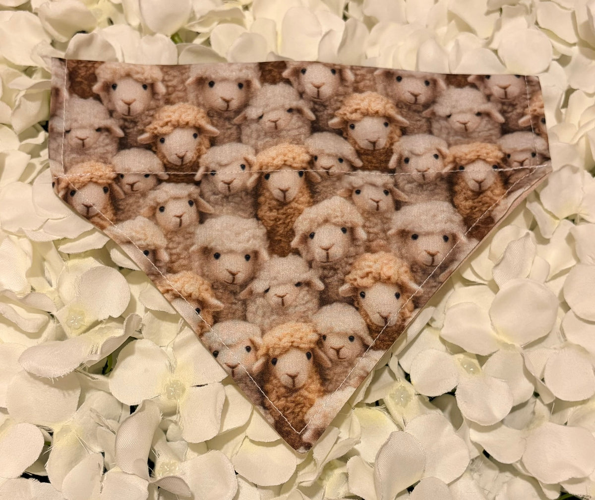 Natural Sheep Bandana - Small