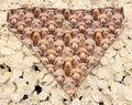 Natural sheep print dog bandana in white and golden tones