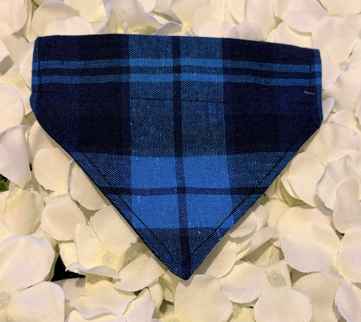 Blue Check Bandana - Extra-Small