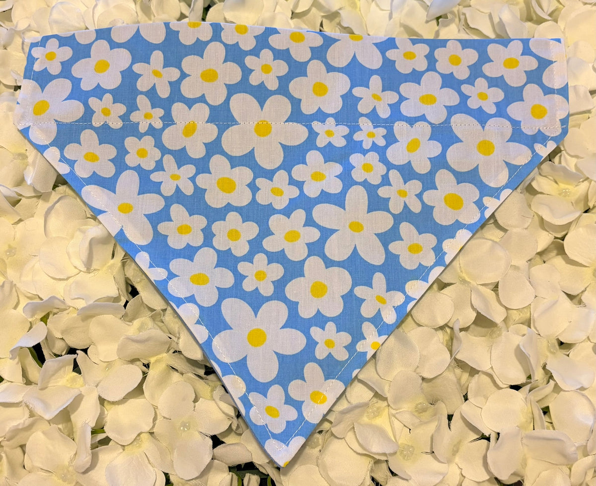 Blue daisy print dog bandana with white flowers on sky blue background