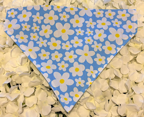 Blue daisy print dog bandana with white flowers on sky blue background