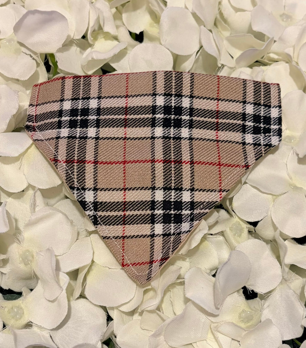 Burbury Pattern Bandana - Extra-Small