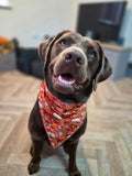 3D Pumpkin Bandana - Large