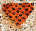 Orange Cat Halloween Bandana - Large