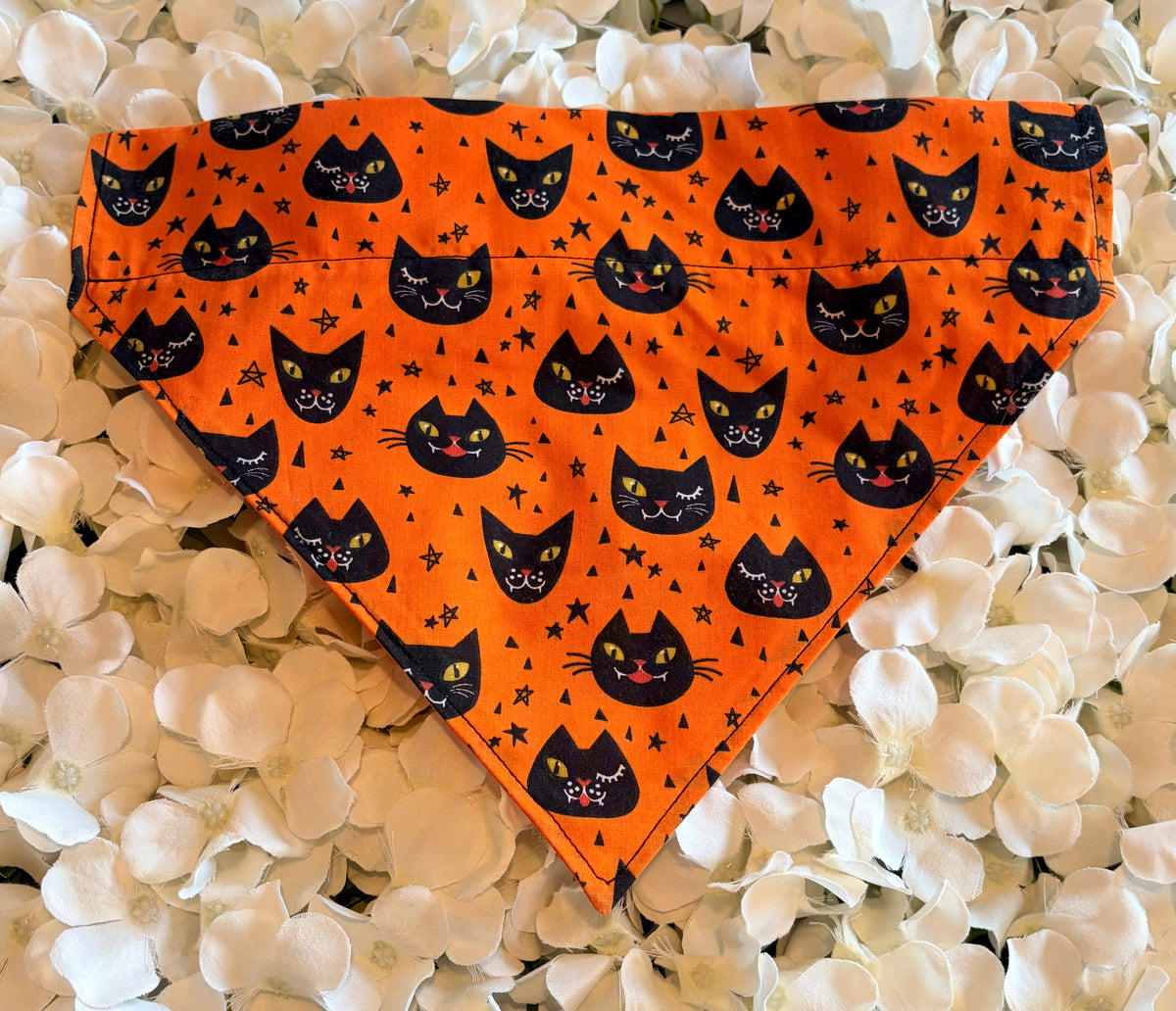 Orange Cat Halloween Bandana - Large