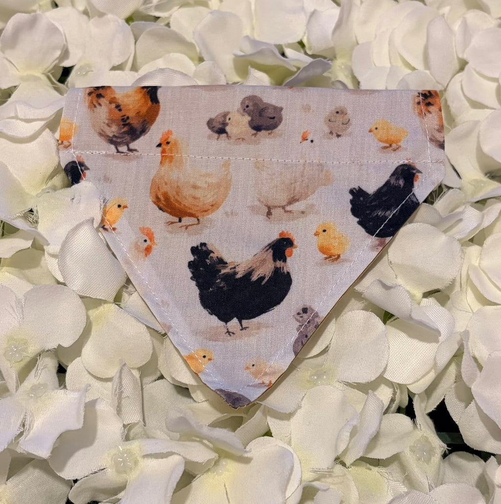 Chickens Bandana - Extra-Small