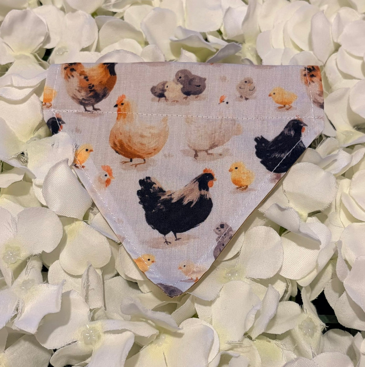 Chickens Bandana - Extra-Small