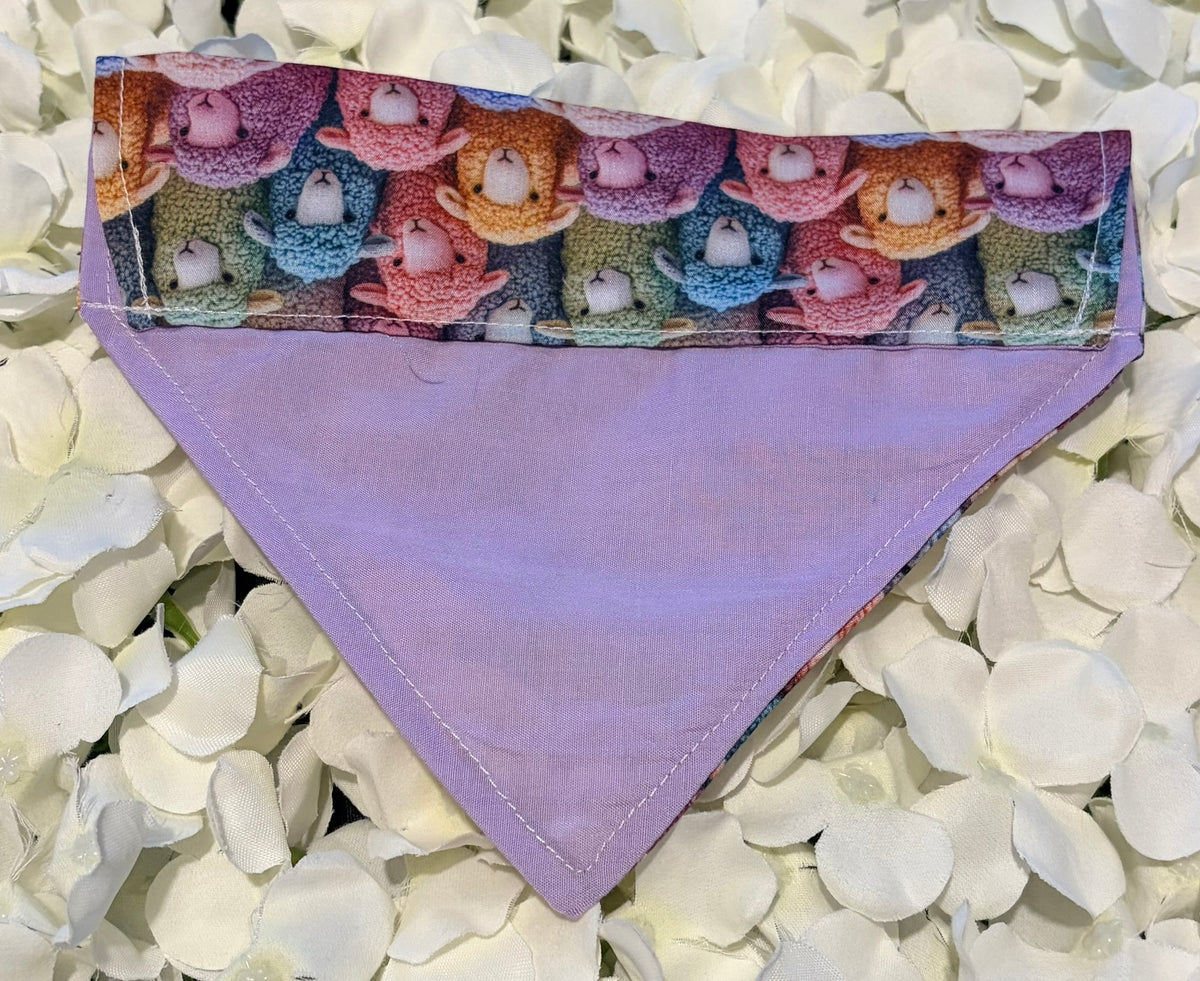 Colourful Sheep Bandana - Small