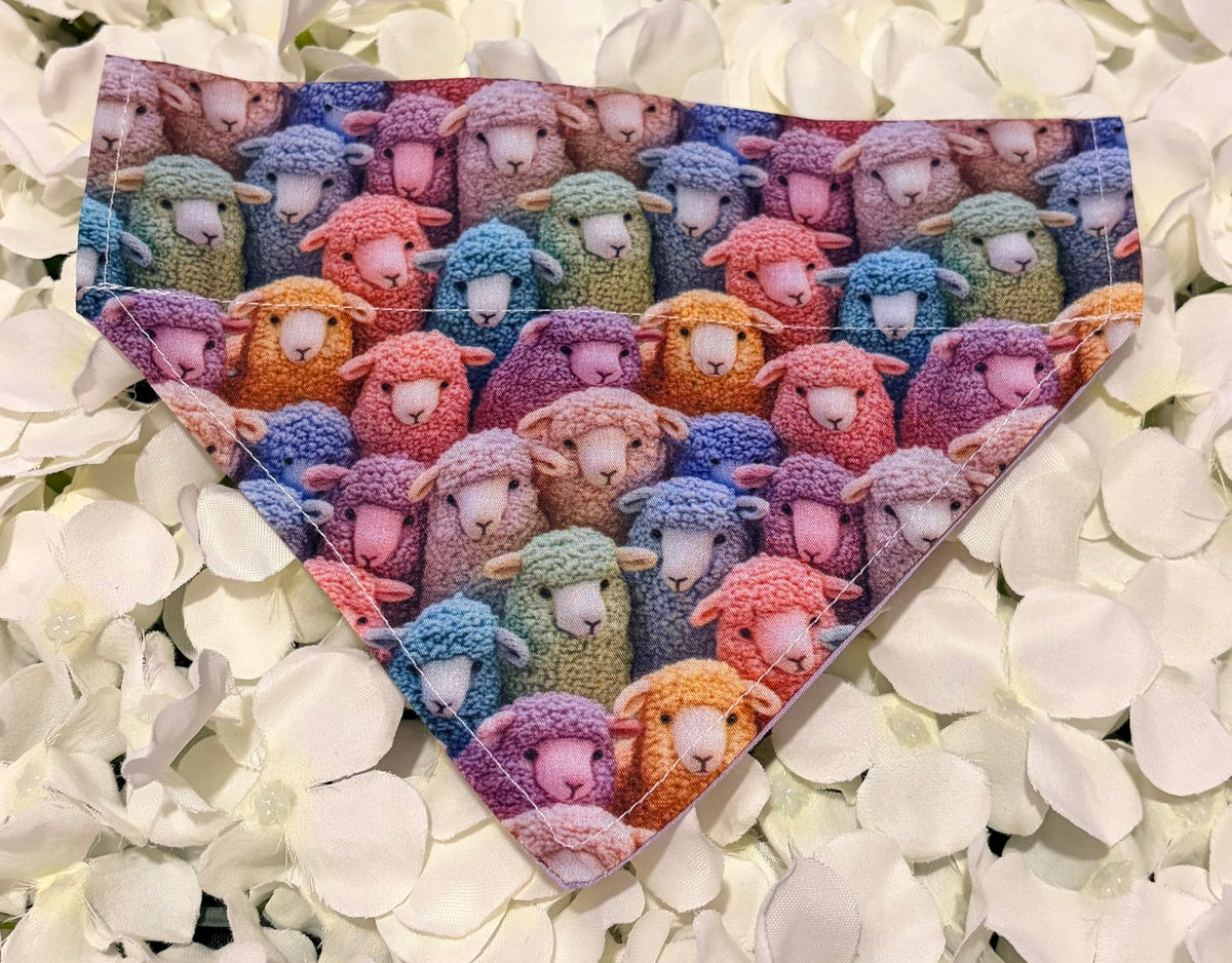Colourful Sheep Bandana - Small