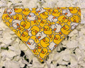 Rubber Duck Bandana - Medium