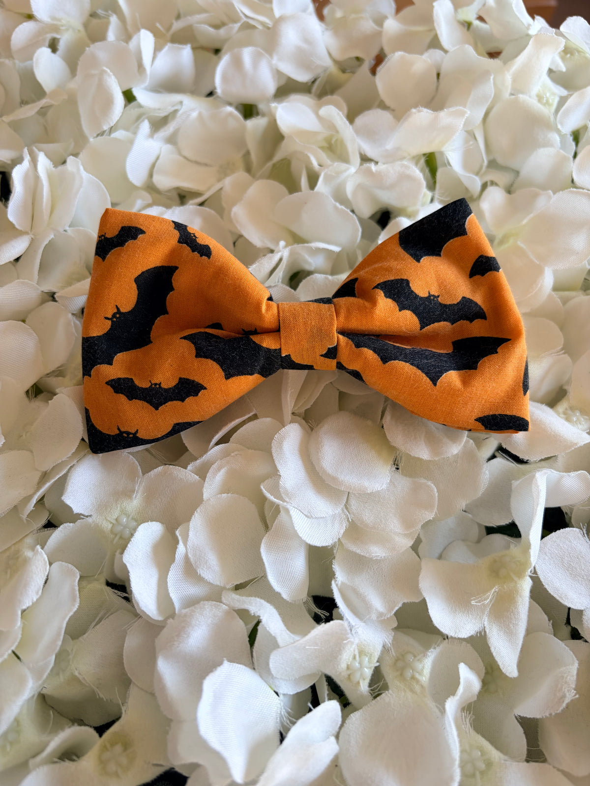Orange Bats Bow - Large
