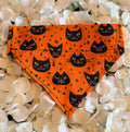 Orange Cat Halloween Bandana - Small