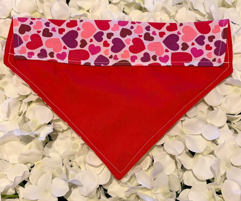 Hearts Bandana - Medium