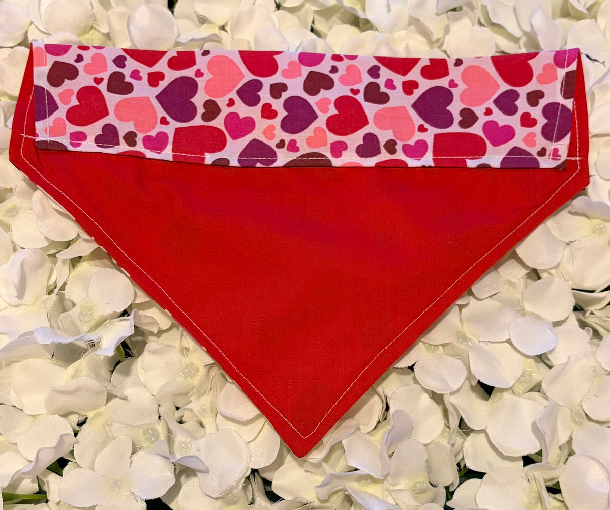 Hearts Bandana - Medium