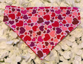 Hearts Bandana - Medium