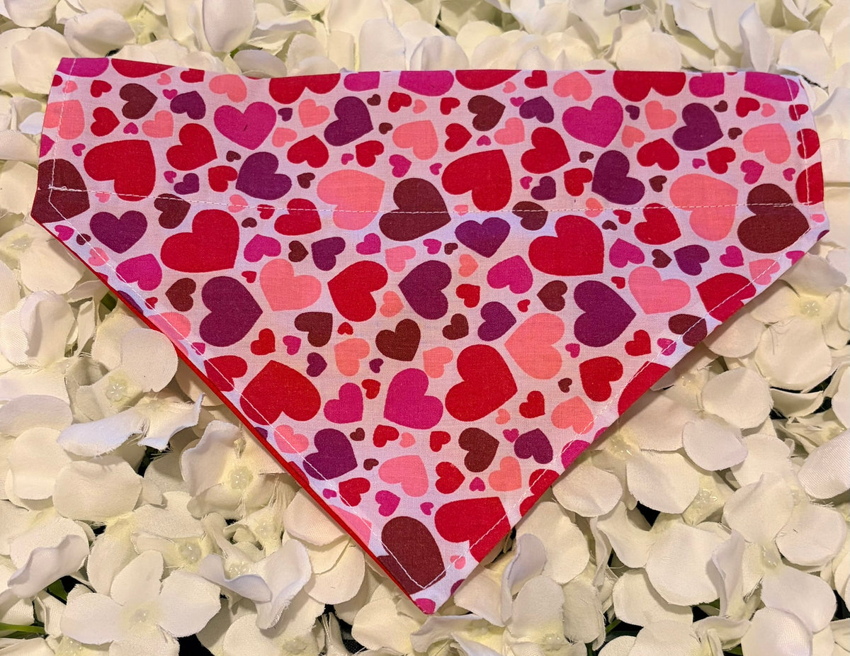 Hearts Bandana - Medium