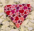 Hearts Bandana - Extra-Small