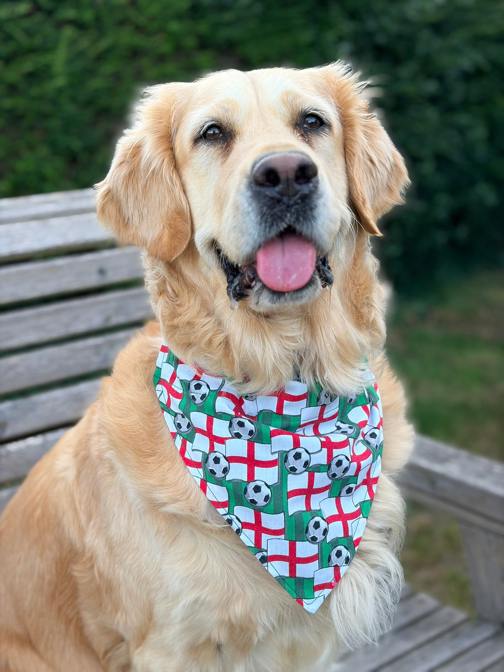 England Football Bandana - Large