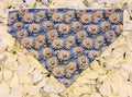 Blue Daisy Bandana - Medium