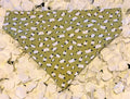 Green Sheep Bandana - Medium