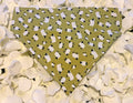Green Sheep Bandana - Small