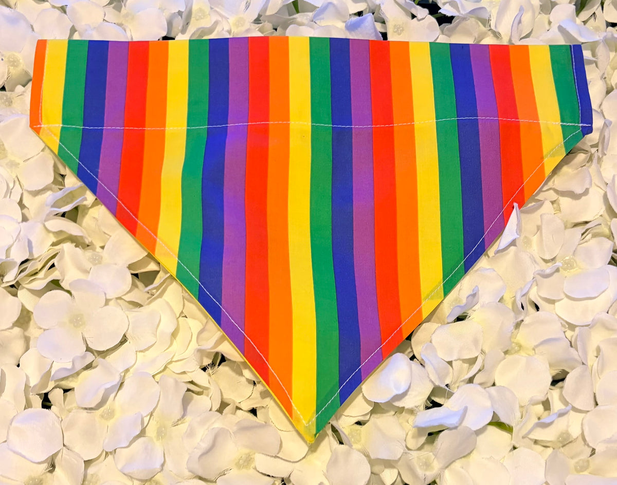 Rainbow Bandana - Large