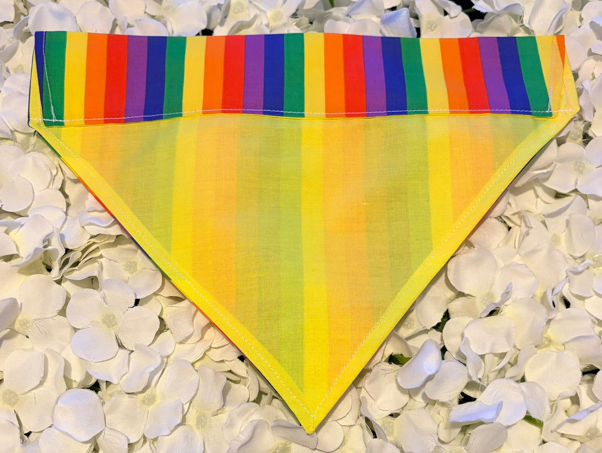 Rainbow Bandana - Large