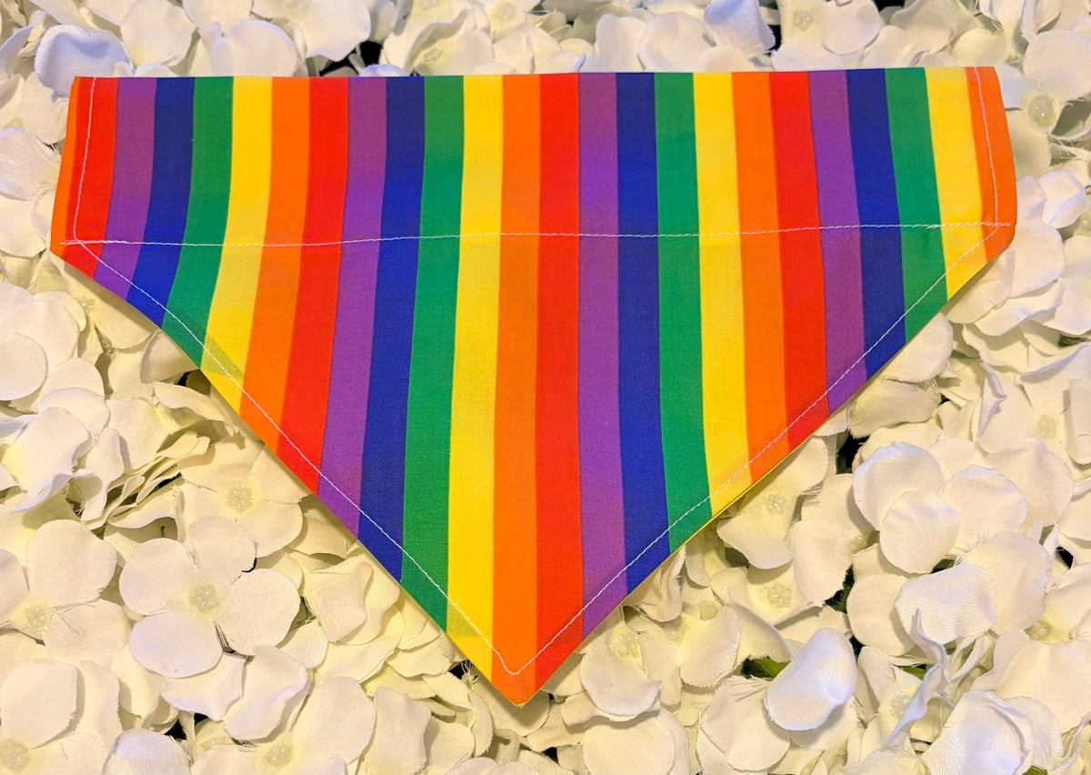 Rainbow Bandana - Medium