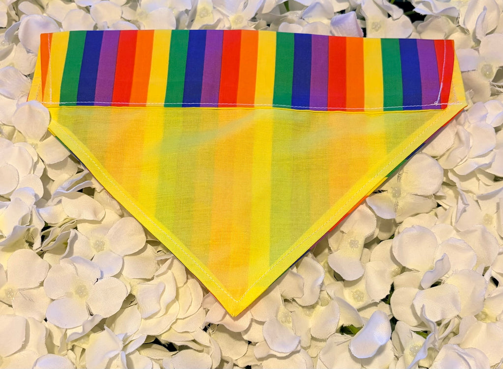 Rainbow Bandana - Medium
