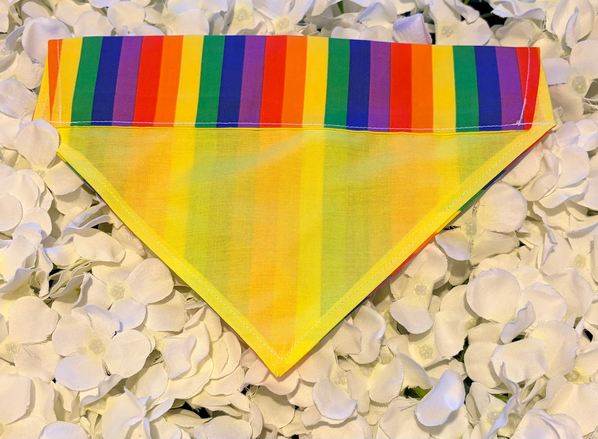 Rainbow Bandana - Medium