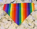 Rainbow Bandana - Small